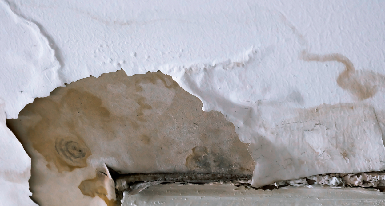 mold-remediation-intro-img